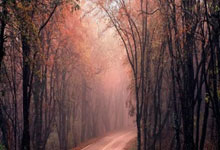 蓝鲸体育直播:时隔15天再次相遇,王楚钦3比1力克樊振东澎湃新闻.