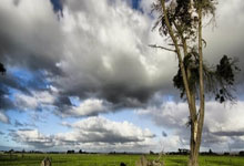 蓝鲸体育直播：[CBA]常规赛12月9日：吉林VS山东 集锦.