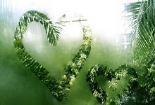 中国队亚残运214金167银140铜收官央视新闻客户端.