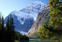 蓝鲸体育直播：江苏女子手球队摘得中国手球超级联赛总冠军.