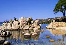 [乒乓球]孙颖莎、蒯曼晋级女单16强.